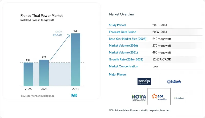 France Tidal Power - Market - IMG1