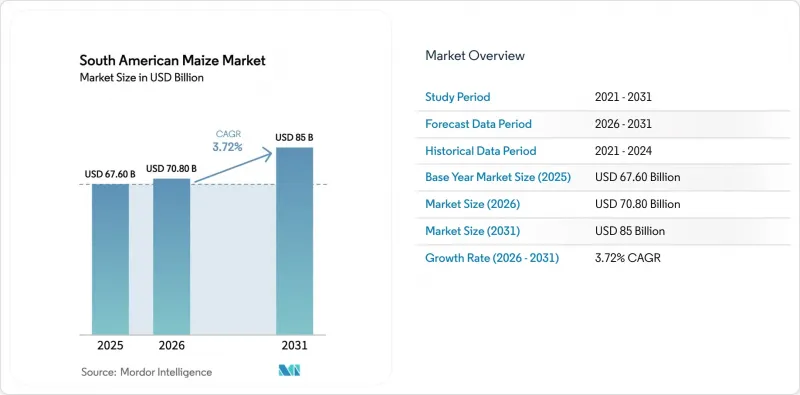 South America Maize - Market - IMG1