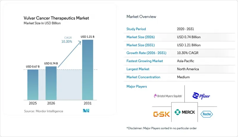 Vulvar Cancer Therapeutics - Market - IMG1