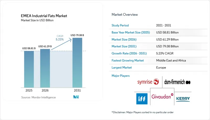 EMEA Industrial Fats - Market - IMG1