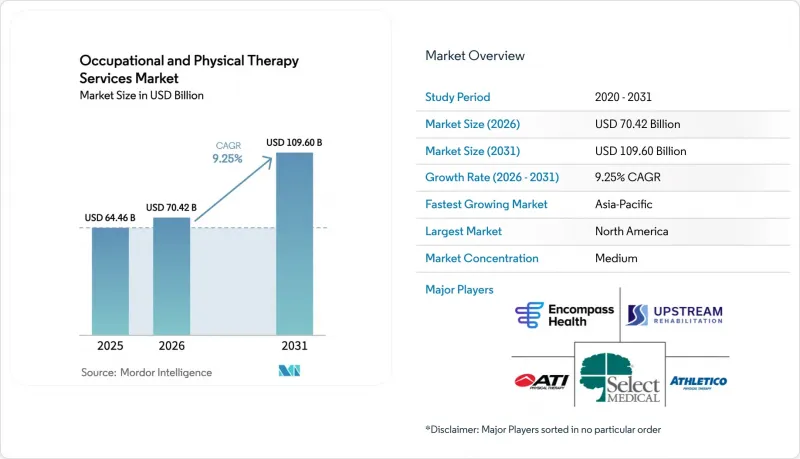 Occupational And Physical Therapy Services - Market - IMG1