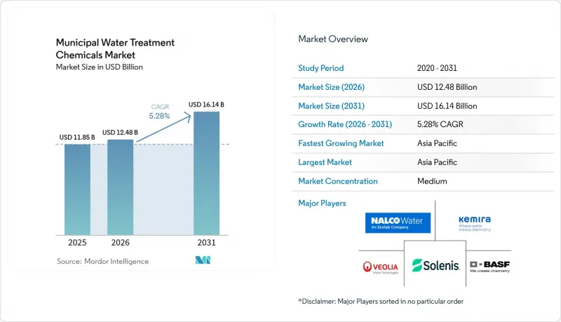 Municipal Water Treatment Chemicals - Market - IMG1