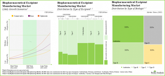 Biopharmaceutical Excipients Market - IMG3