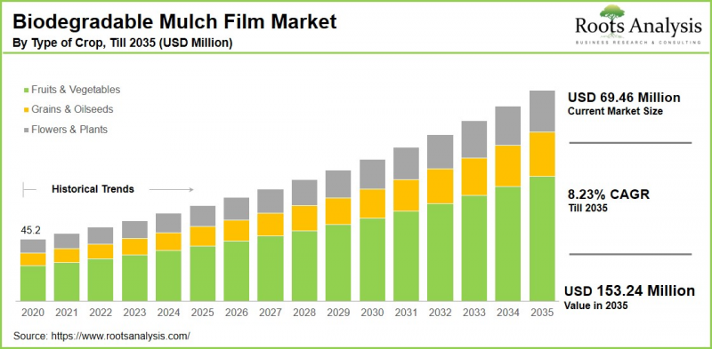 Biodegradable Mulch Film Market - IMG1