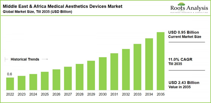 Middle East & Africa Medical Aesthetics Devices Market - IMG1
