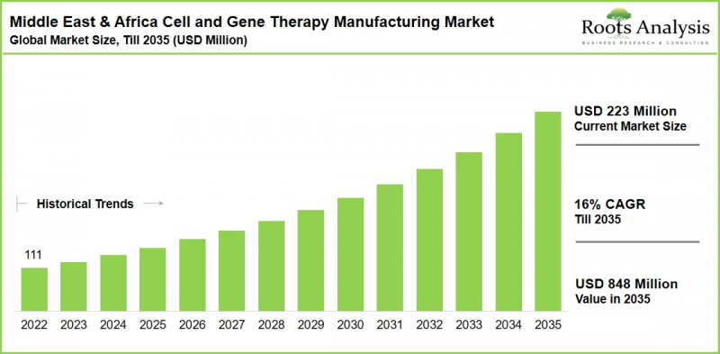 Middle East and Africa Cell and Gene Therapy Manufacturing Market - IMG1