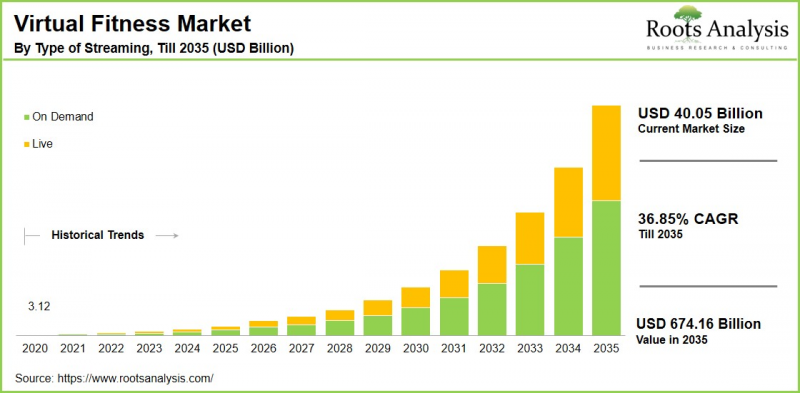 Virtual Fitness Market - IMG1