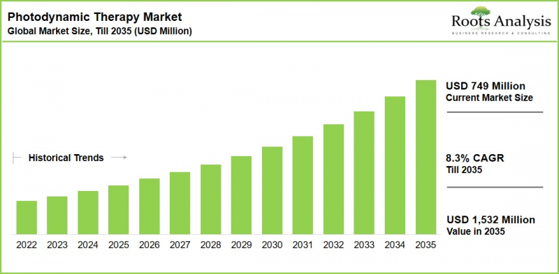 Photodynamic Therapy Market - IMG1