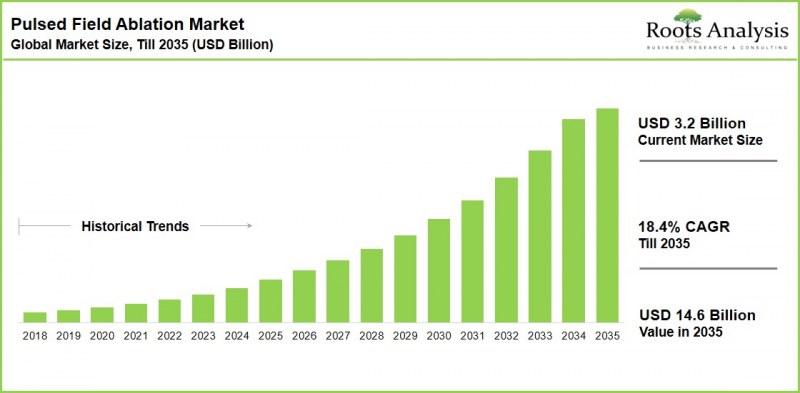 Pulsed Field Ablation Market - IMG1