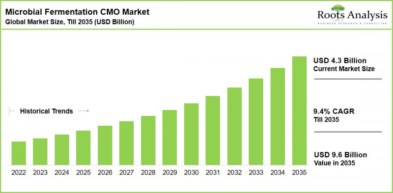 Microbial Fermentation CMO Market - IMG1