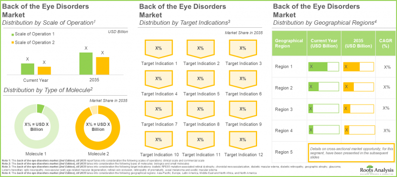 Back of the Eye Disorders Market - IMG2