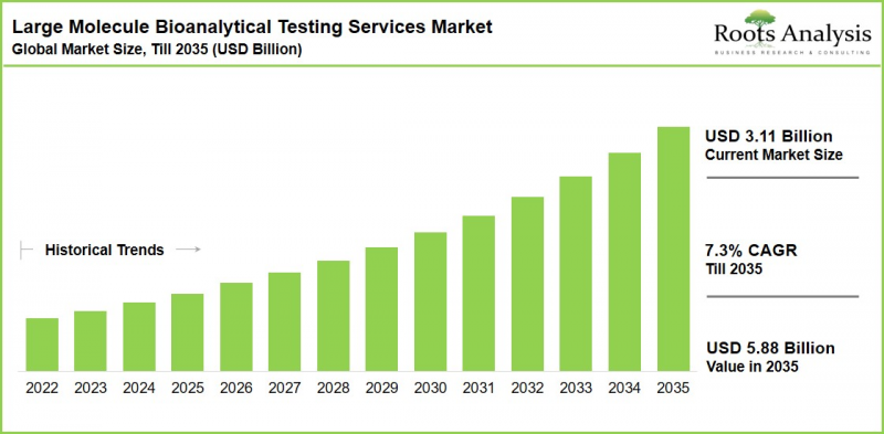 Large Molecule Bioanalytical Testing Services Market - IMG1