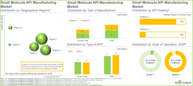 Small Molecule API Manufacturing Market - IMG3