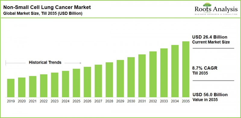 Non-Small Cell Lung Cancer Market - IMG1