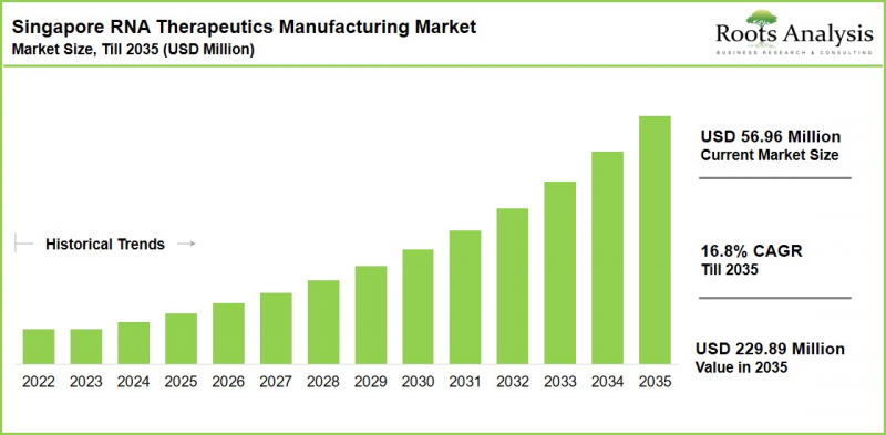 Singapore RNA Therapeutics Manufacturing Market - IMG1