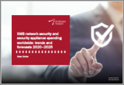 SMB Network Security and Security Appliance Spending Worldwide: Trends and Forecasts 2020-2025