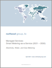 Managed Services: Smart Metering-as-a-Service (2021 - 2030)