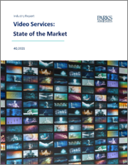 Video Services: State of the Market