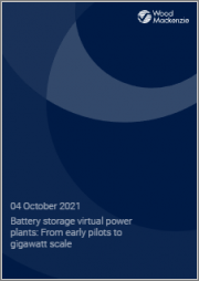 Battery Storage Virtual Power Plants: From Early Pilots to Gigawatt Scale