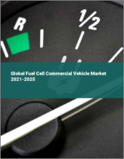 Global Fuel Cell Commercial Vehicle Market 2021-2025
