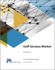 VoIP Services Market