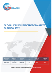 Global Carbon Electrodes Market Outlook 2022