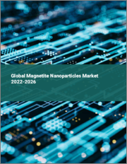Global Magnetite Nanoparticles Market 2022-2026