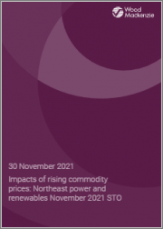 Impacts of Rising Commodity Prices: Northeast Power and Renewables November 2021 STO