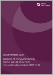 Impacts of Rising Commodity Prices: WECC Power and Renewables November 2021 STO