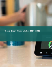 Global Smart Meter Market 2021-2025