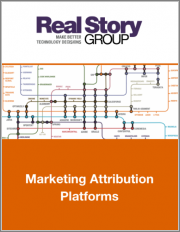 Marketing Attribution Platforms