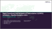 Signal Transducer and Activator of Transcription 3 (STAT3) Inhibitors - Pipeline Analytics 2021