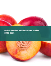 Global Peaches and Nectarines Market 2022-2026