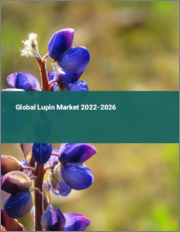 Global Lupin Market 2022-2026