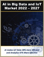 Artificial Intelligence in Big Data Analytics and IoT: Market for Data Capture, Information and Decision Support Services 2022 - 2027