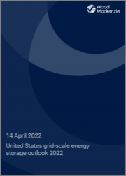 United States Grid-scale Energy Storage Outlook 2022