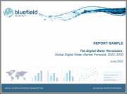 The Digital Water Revolution: Global Digital Water Market Forecast, 2022-2030