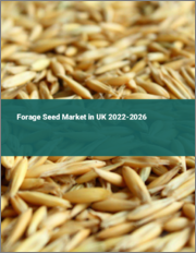 Forage Seed Market in UK 2022-2026
