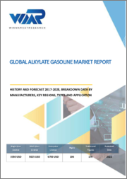 Global Alkylate Gasoline Market Report, History and Forecast 2017-2028