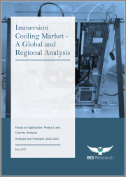 Immersion Cooling Market - A Global and Regional Analysis: Focus on Application, Product, and Country Analysis - Analysis and Forecast, 2022-2027