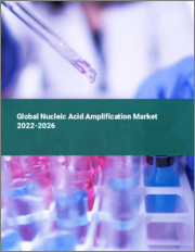 Global Nucleic Acid Amplification Market 2022-2026