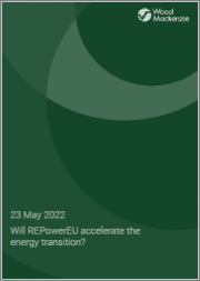 Will REPowerEU Accelerate the Energy Transition?