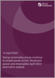 Rising Commodity Prices Continue to Propel Power Prices: Southeast Power and Renewables April 2022 Short-term Outlook