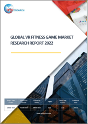 Global VR Fitness Game Market Research Report 2022