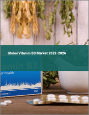 Global Vitamin B3 Market 2022-2026