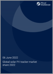 Global Solar PV Tracker Market Share 2022