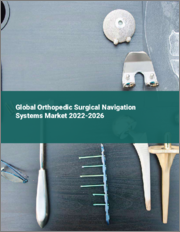 Global Orthopedic Surgical Navigation Systems Market 2022-2026