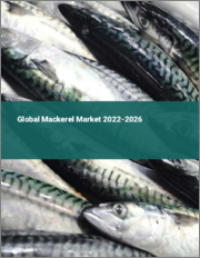Global Mackerel Market 2022-2026