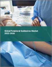 Global Peripheral Guidewires Market 2022-2026