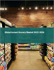 Global Instant Grocery Market 2022-2026